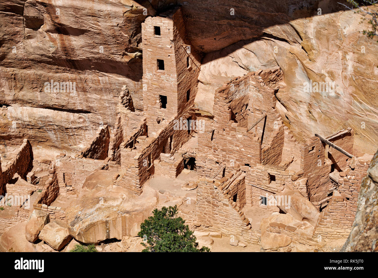 Torre quadrata House, cliff dwellings in Mesa-Verde-Parco Nazionale, sito patrimonio mondiale dell'UNESCO, Colorado, Stati Uniti d'America, America del Nord Foto Stock