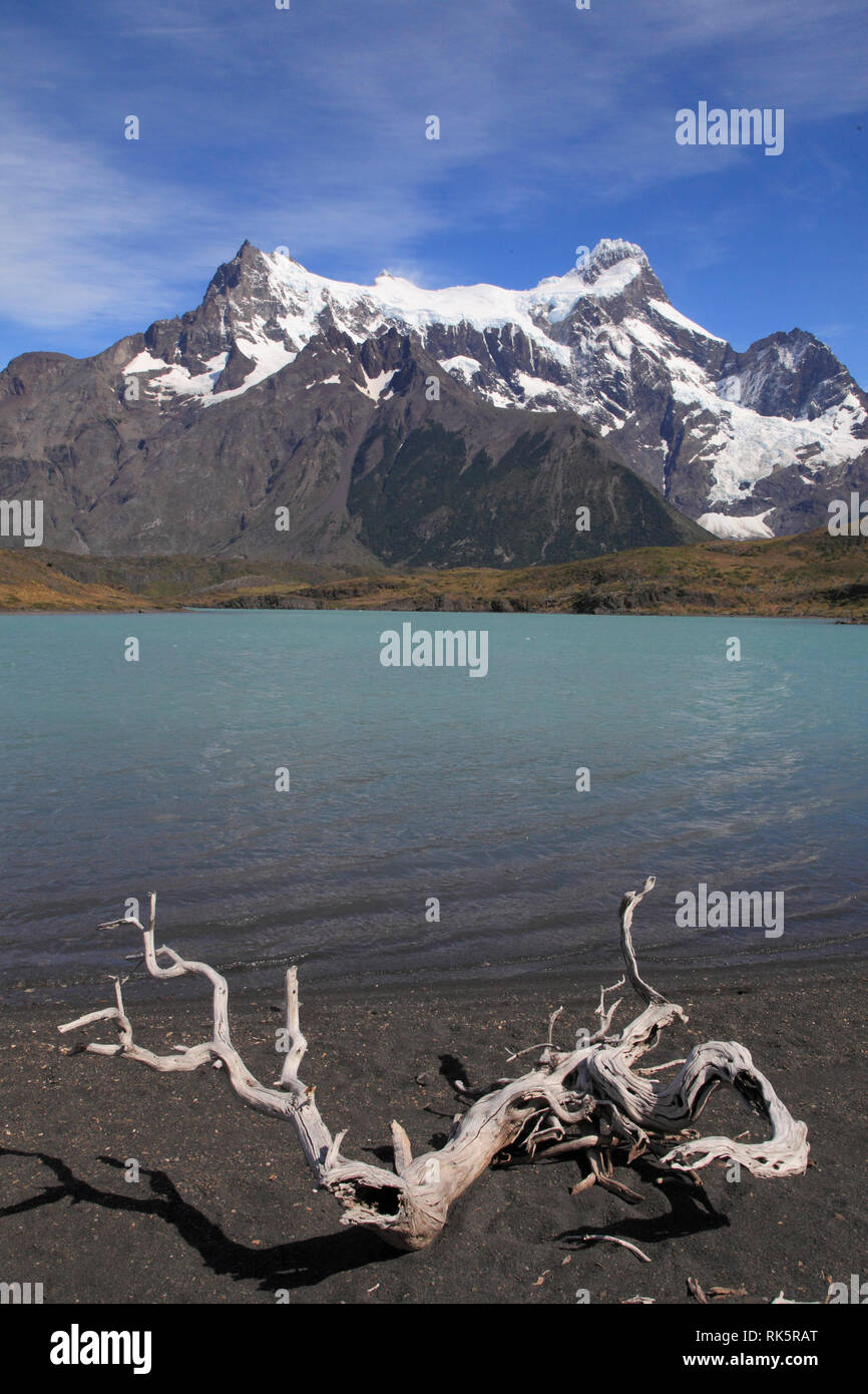 Il Cile, Magallanes, Torres del Paine, parco nazionale, Paine Grande Lago Nordenskjold, Foto Stock
