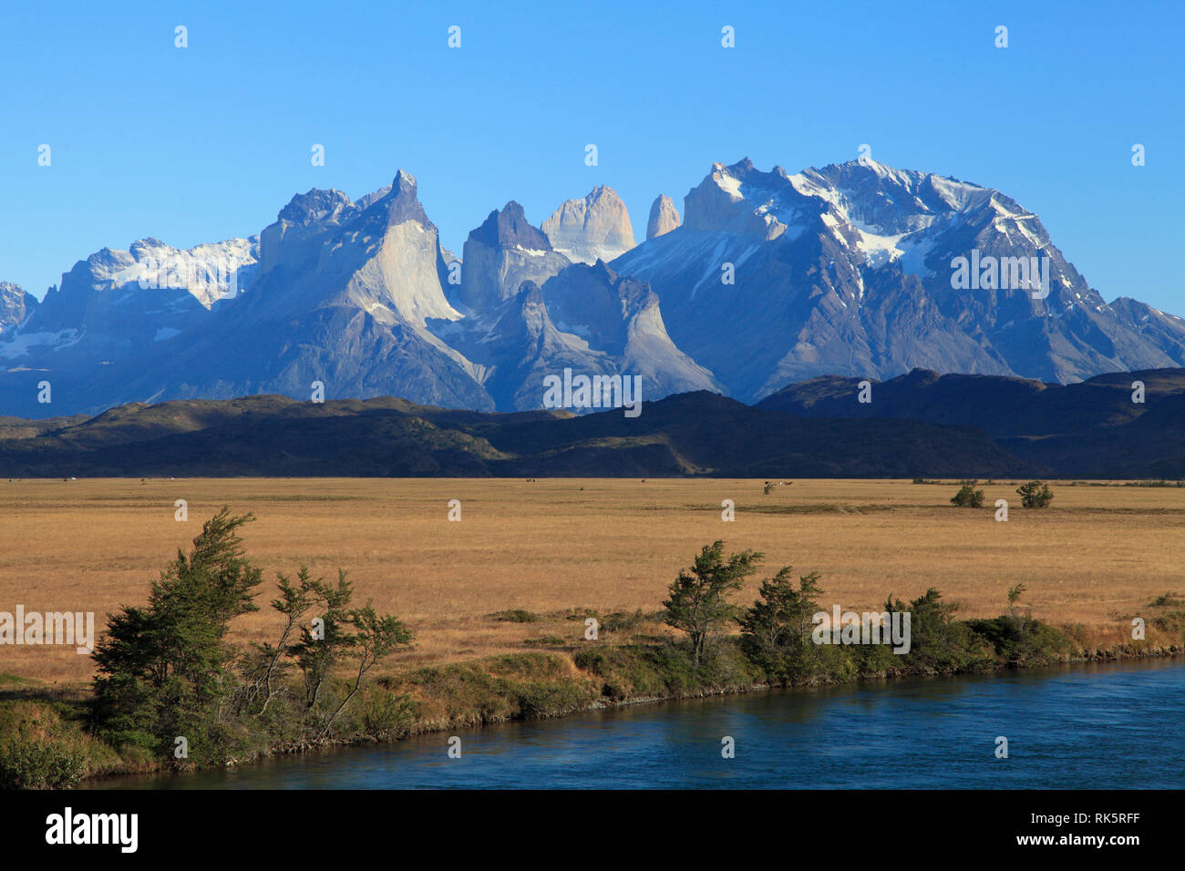 Il Cile, Magallanes, Torres del Paine, parco nazionale, Rio Serrano, Foto Stock