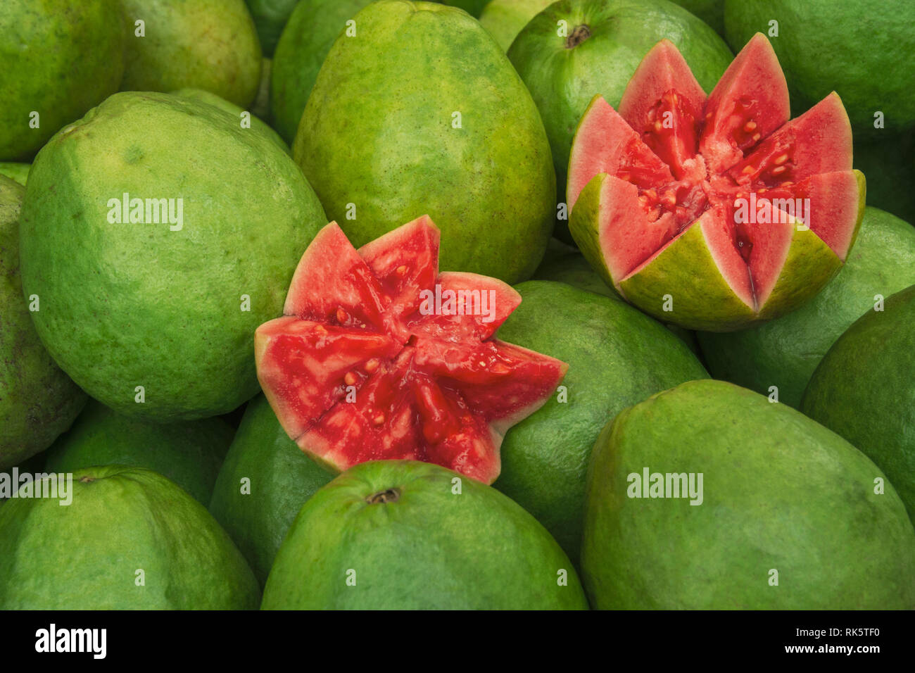 Frutta tropicale di guava rosa, Psidium guajava Foto Stock