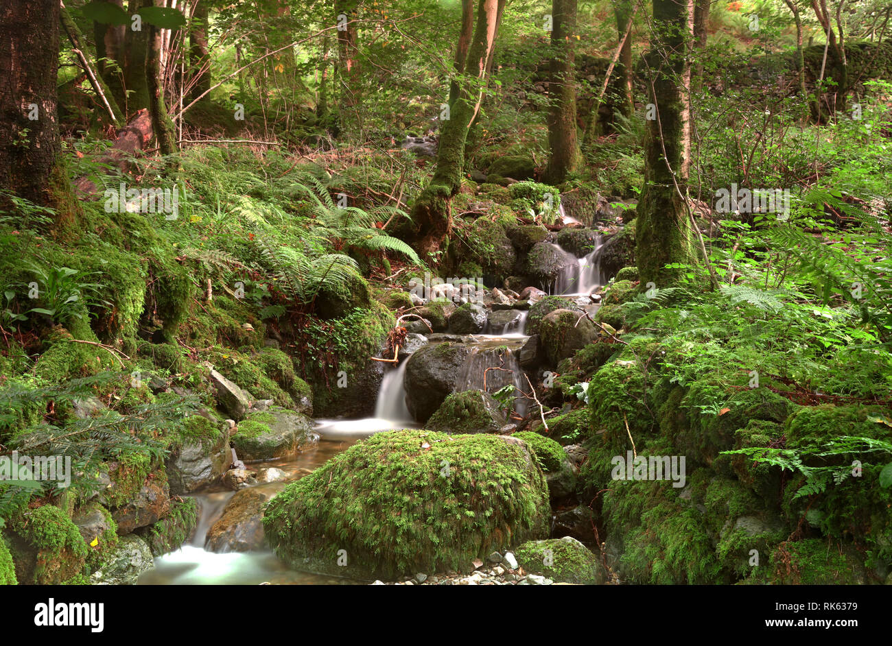 Beck al Hazelbank Hotel, Rosthwaite, Borrowdale, Lake District, Cumbria, England, Regno Unito Foto Stock