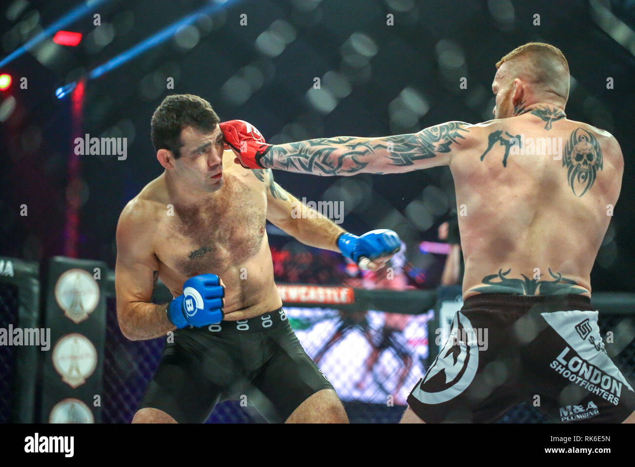 Newcastle, Regno Unito, 9 febbraio 2019 - Jim Wallhead jabs a Abner Lloveras contro la gabbia Credito: Dan Cooke/Alamy Live News Foto Stock