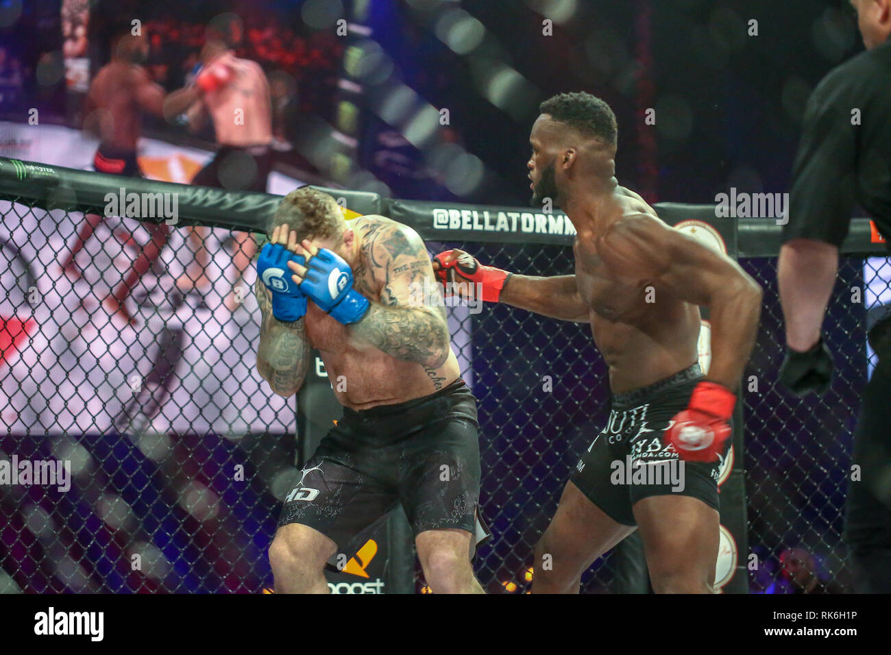 Newcastle, Regno Unito, 9 febbraio 2019 - Fabian Edwards batte verso la gabbia Lee Chadwick Credito: Dan Cooke/Alamy Live News Foto Stock