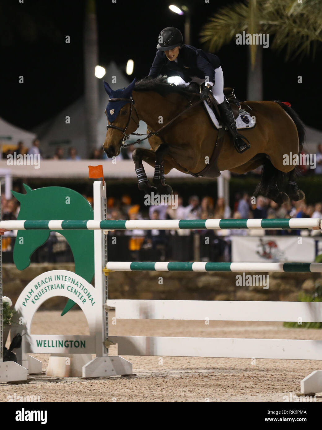 Florida, Stati Uniti d'America. 9 Feb 2019. Jessica Rae Springsteen (Bruce Springsteen figlia) partecipa nella classe 101 - FEI CSI5* $391,000 Fidelity Investments Grand Prix dove il vincitore è stato Martin Fuchs (Svizzera) il secondo posto è stato Kent Farrington (USA) e il terzo è stato Conor Swail (IRE). Credito: tempeste Media Group/Alamy Live News Foto Stock