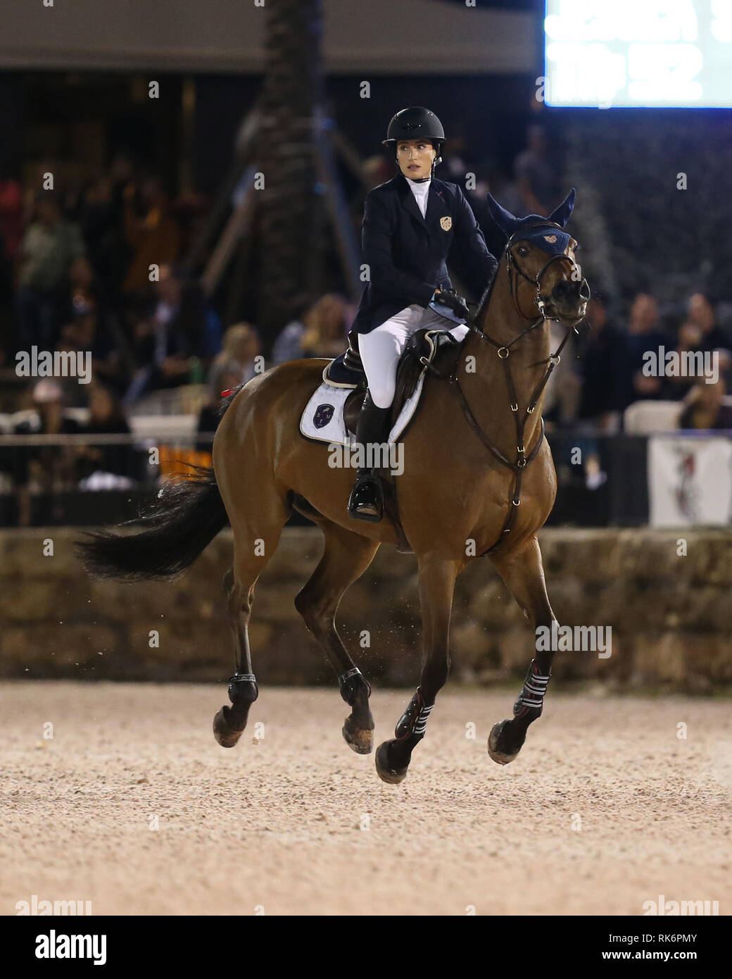 Florida, Stati Uniti d'America. 9 Feb 2019. Jessica Rae Springsteen (Bruce Springsteen figlia) partecipa nella classe 101 - FEI CSI5* $391,000 Fidelity Investments Grand Prix dove il vincitore è stato Martin Fuchs (Svizzera) il secondo posto è stato Kent Farrington (USA) e il terzo è stato Conor Swail (IRE). Credito: tempeste Media Group/Alamy Live News Foto Stock