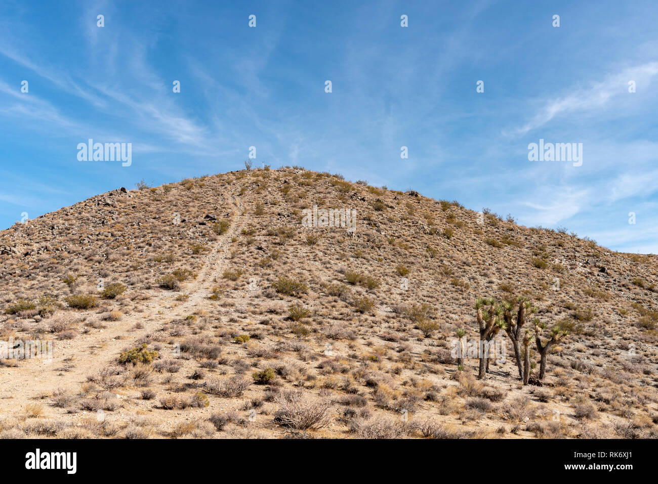 Strada sterrata che conduce fino alla cima della montagna del deserto sotto il luminoso cielo blu. Foto Stock