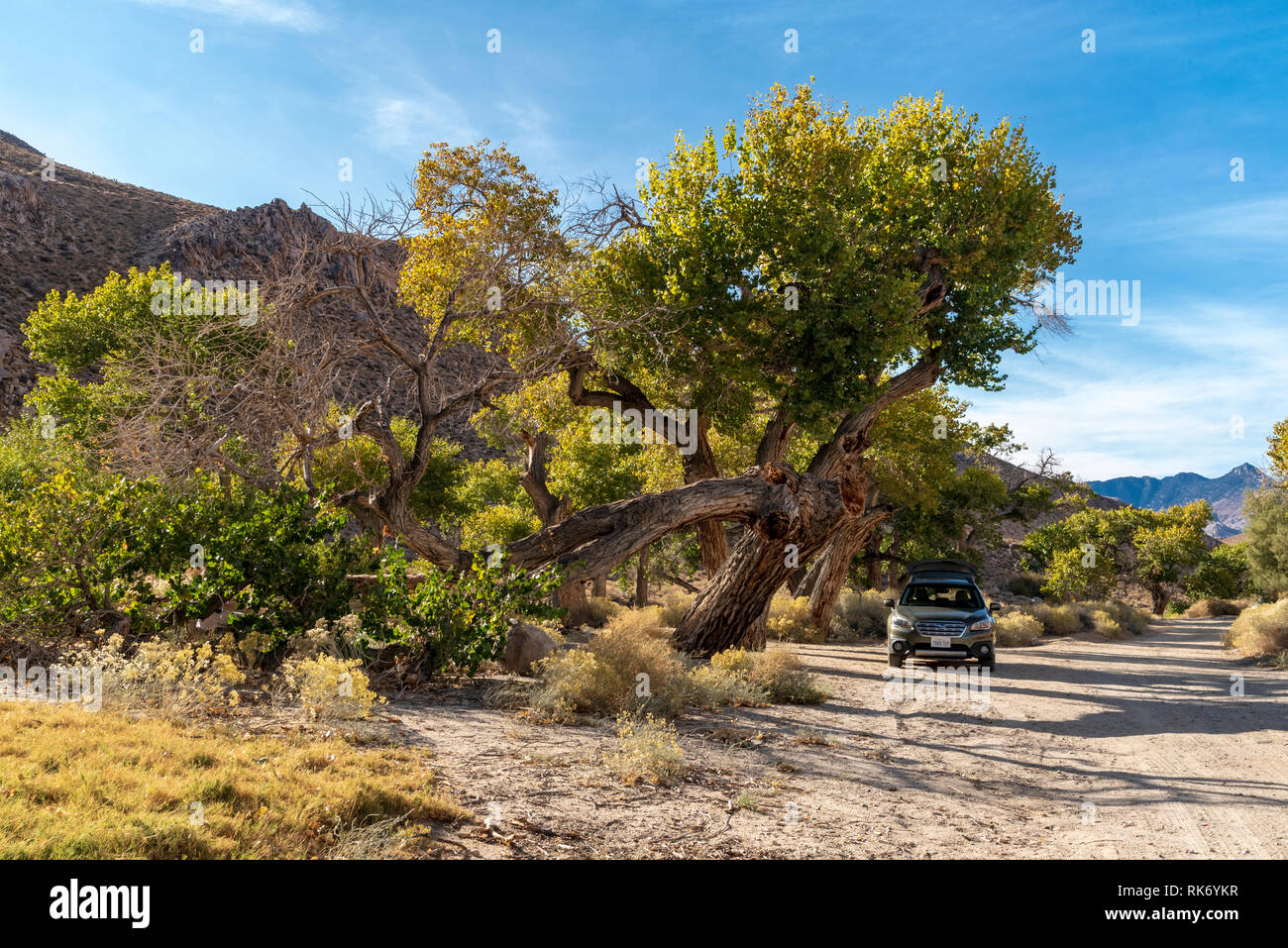 Macchina parcheggiata sotto gli alberi in caduta su un deserto di strada sterrata sotto il cielo blu. Alberi iniziano a mostrare i colori autunnali. Foto Stock