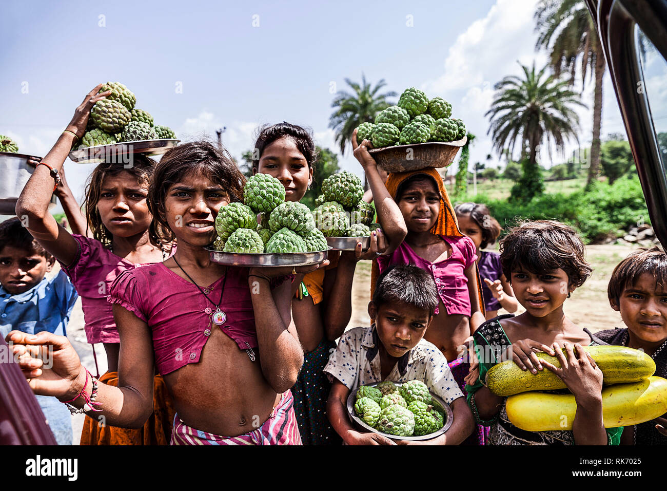 I bambini di Rajasthani vendono frutti per un soggiorno Foto Stock