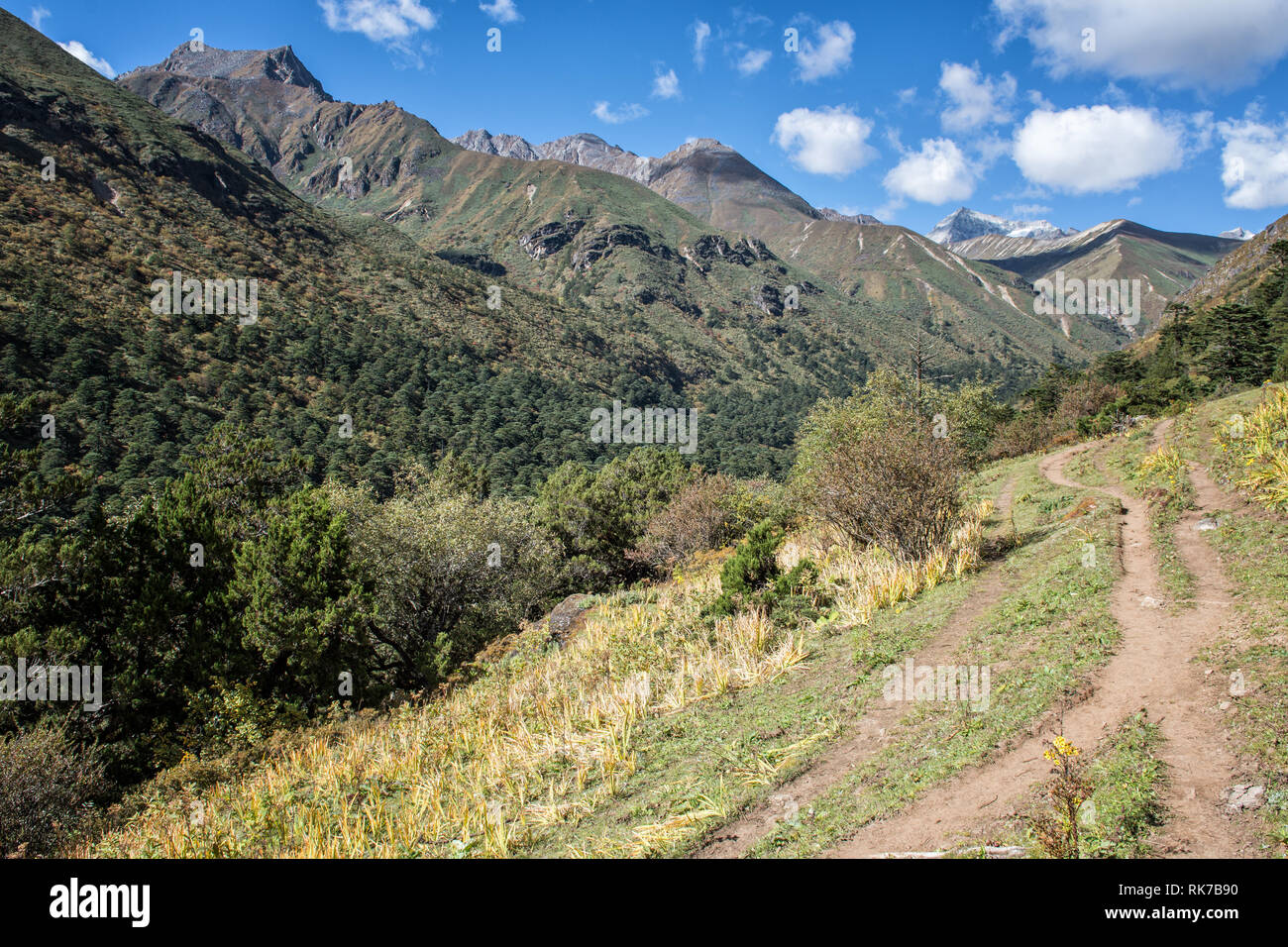 Il sentiero tra Lemithang e Laya, Gasa distretto, Snowman Trek, Bhutan Foto Stock