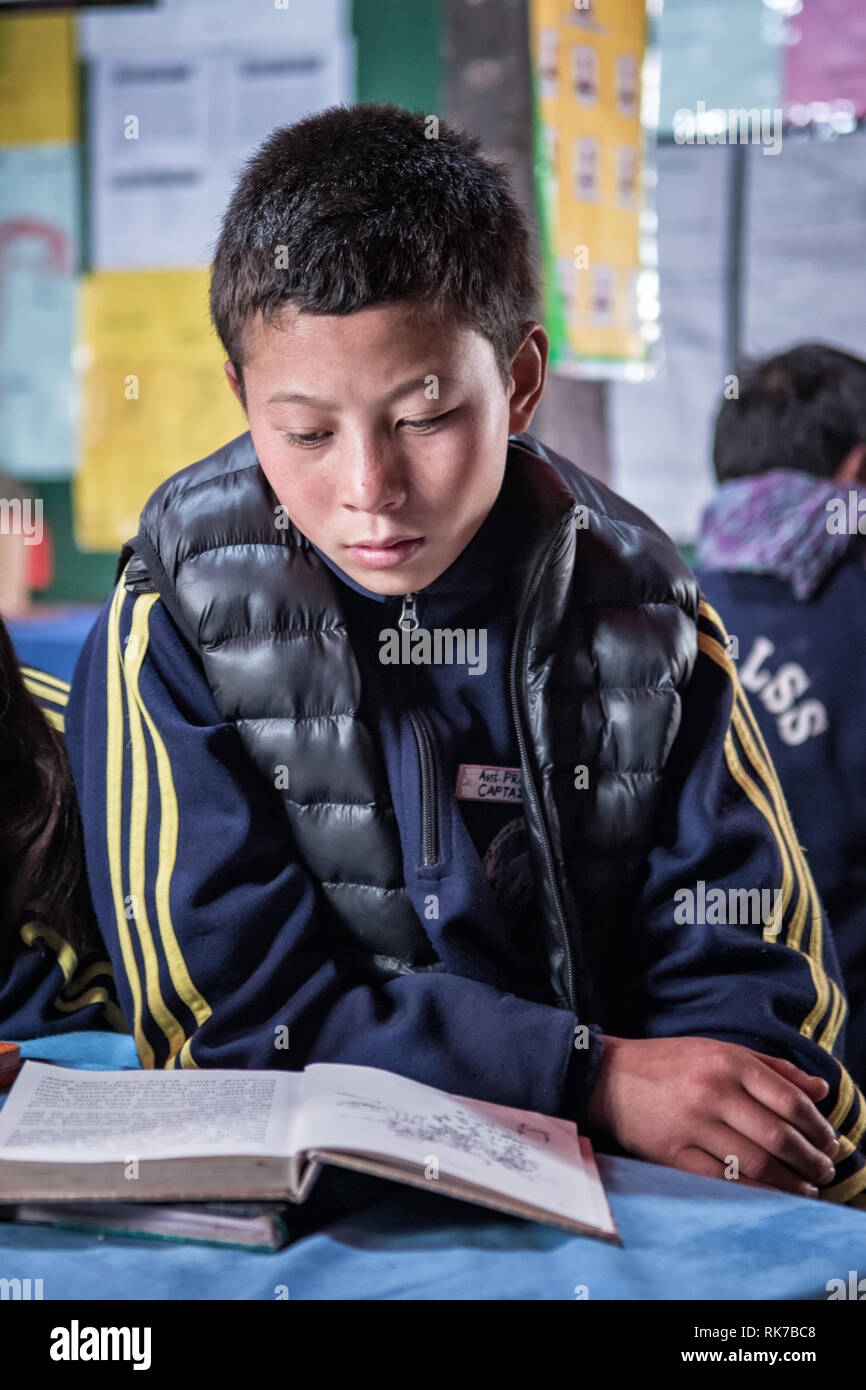 Scolaro lettura in classe della scuola in Laya, Gasa distretto, Snowman Trek, Bhutan Foto Stock