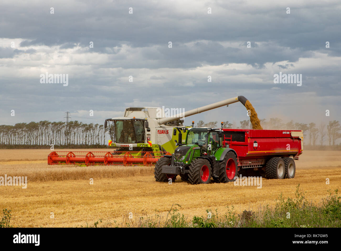 Dorie, Canterbury, Nuova Zelanda - 19 Gennaio 2019: Una mietitrebbia scarica orzo in bidoni in un campo in estate Foto Stock