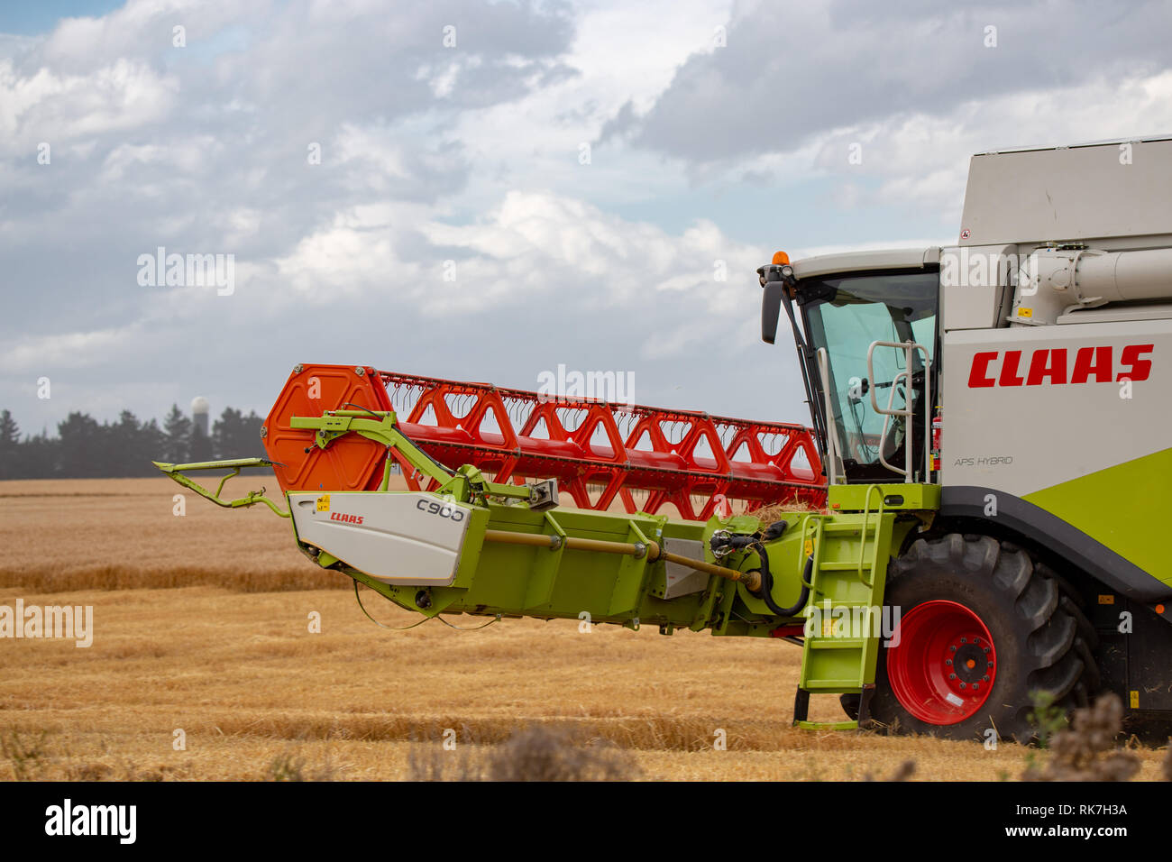 Close-up di un Claas mietitrebbia lavora in un campo di orzo in estate in Nuova Zelanda Foto Stock