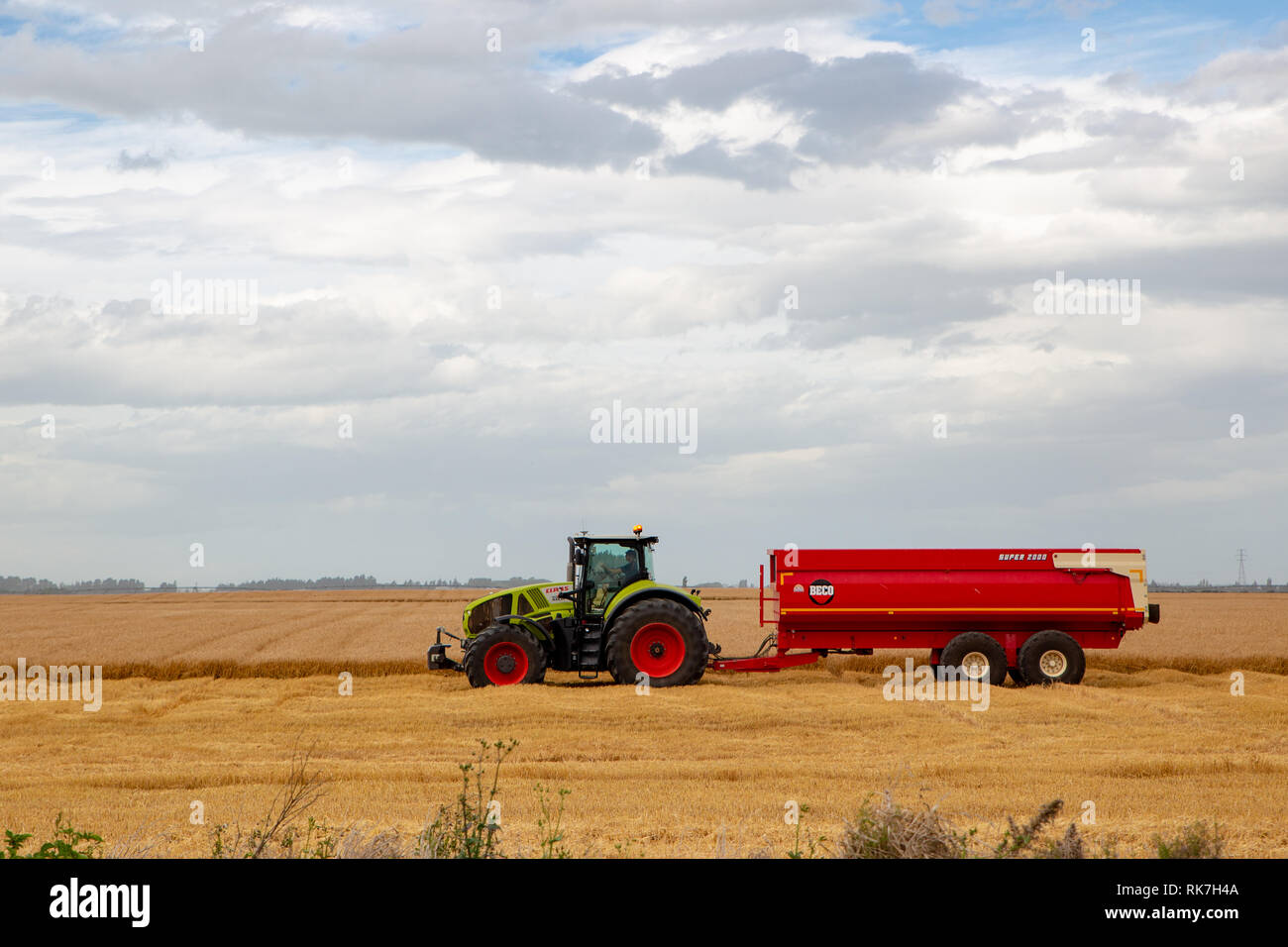 Un trattore con un bin i trasporti di orzo provenienti dalla mietitrebbia per silos di stoccaggio a Canterbury, Nuova Zelanda Foto Stock