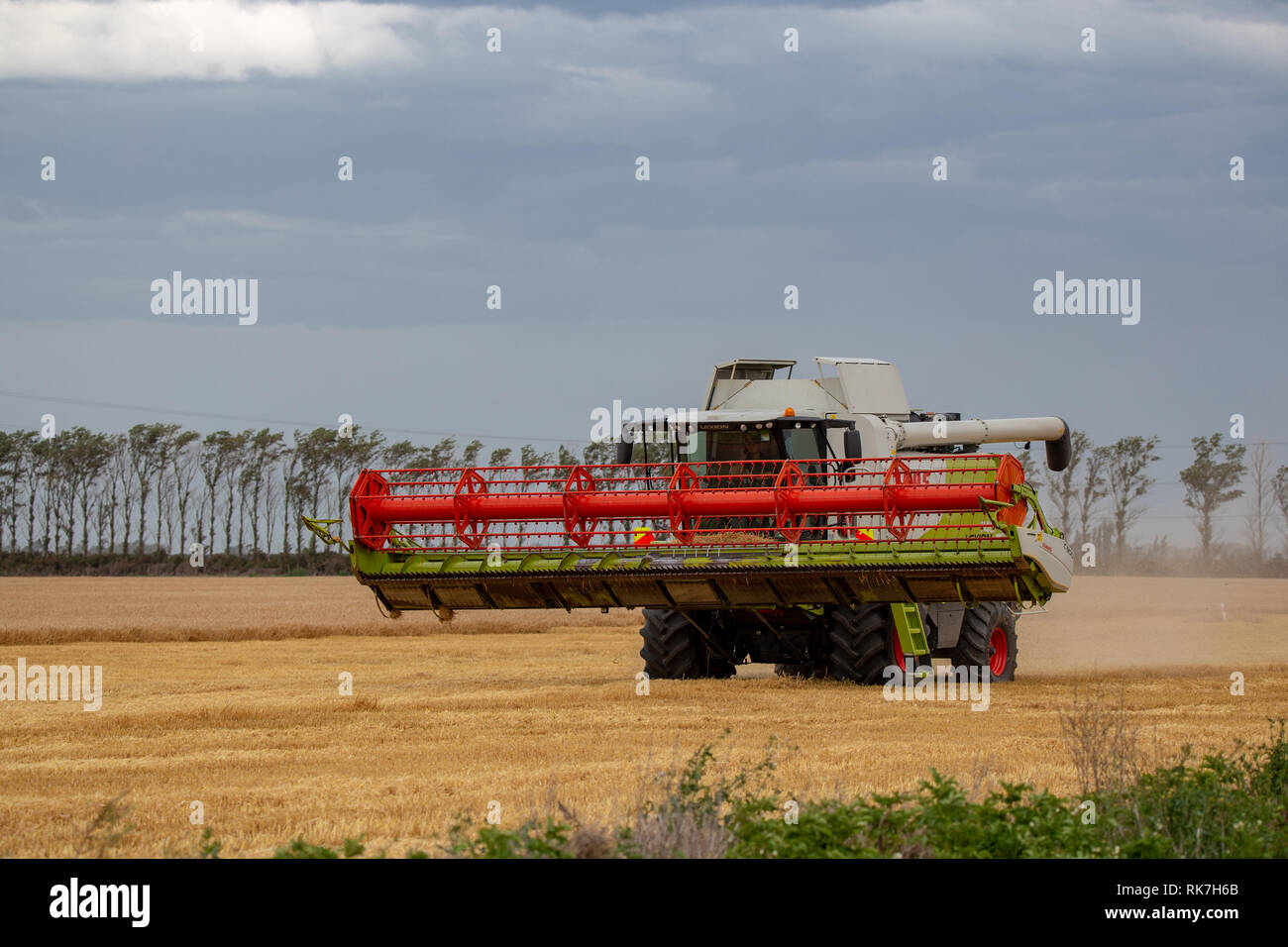 Una Mietitrebbia Claas unità trebbiatrice all'altra estremità del campo per iniziare una nuova fila di orzo a Canterbury, Nuova Zelanda Foto Stock