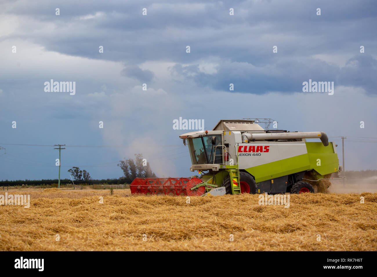 Un Claas mietitrebbia lavorano le righe di orzo in un campo fuori Darfield, Nuova Zelanda Foto Stock