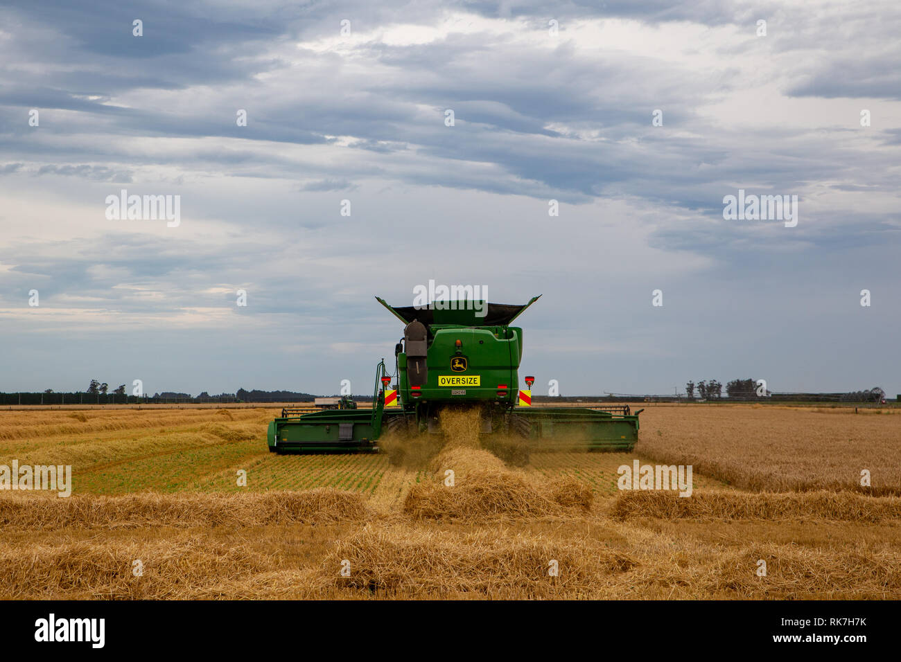 Una moderna mietitrebbia John Deere Harvester lavorando in un campo in estate a Canterbury, Nuova Zelanda Foto Stock