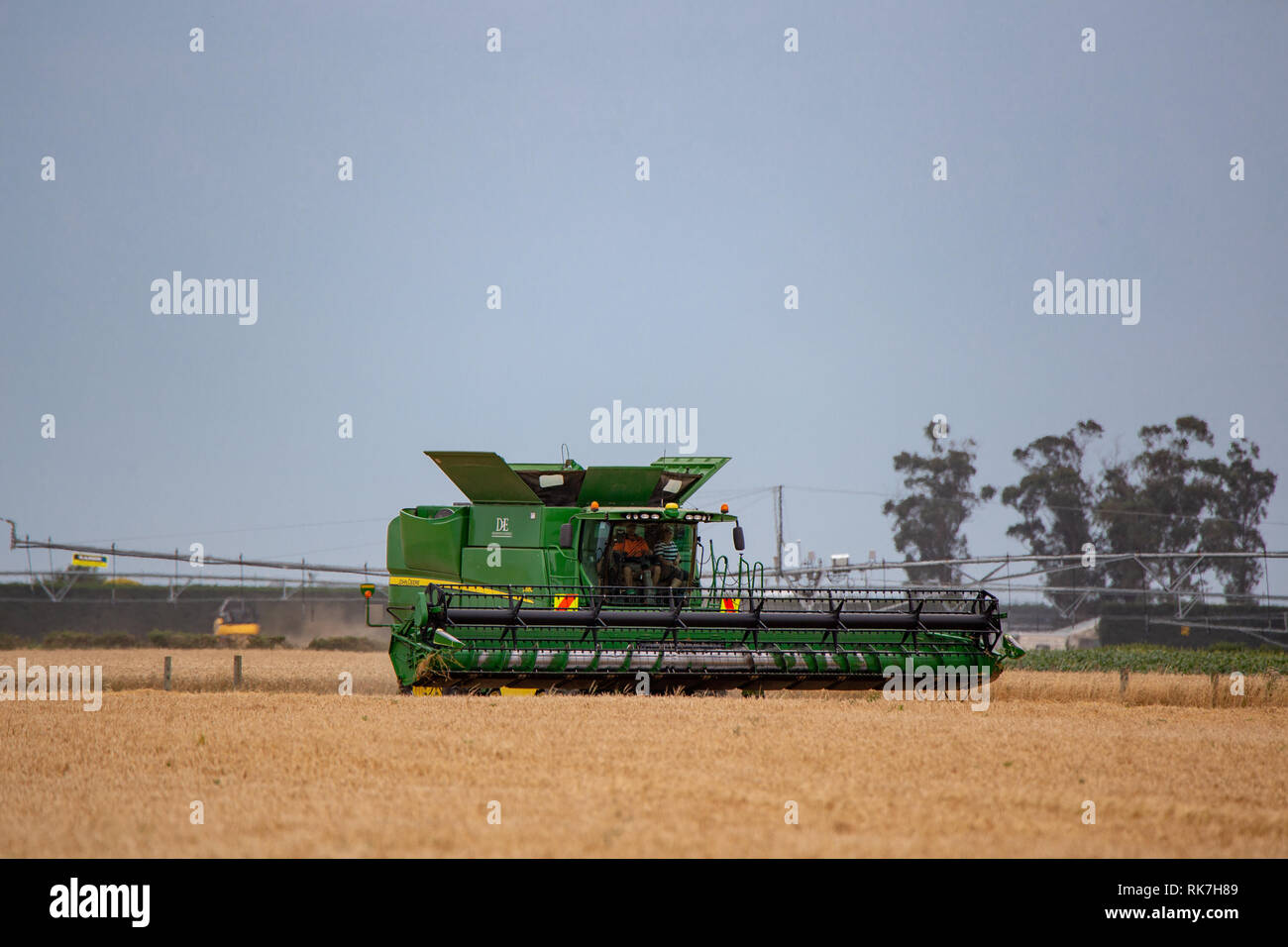 Un grande mietitrebbia John Deere Harvester a lavorare su un pomeriggio estivo a Canterbury, Nuova Zelanda Foto Stock
