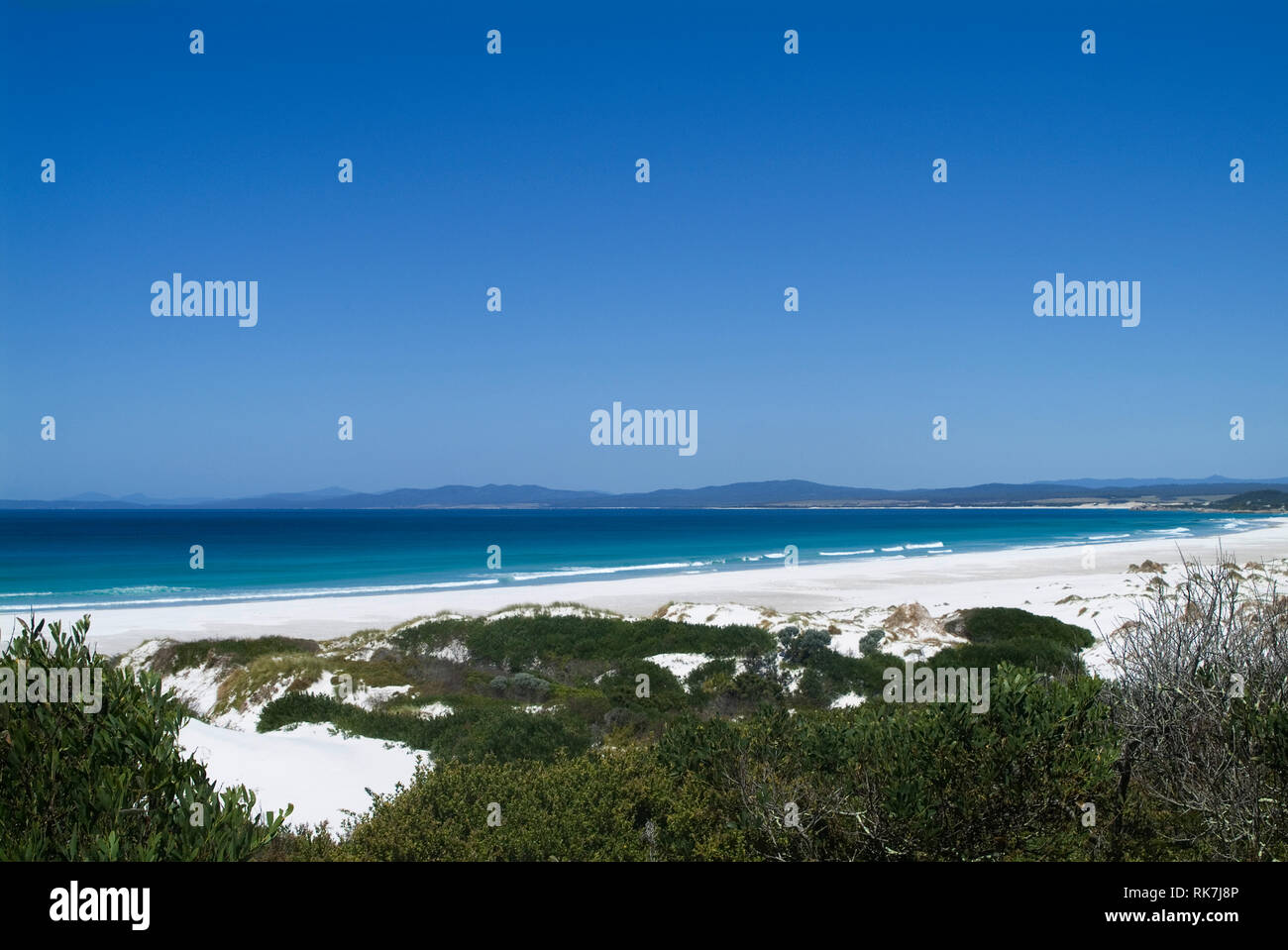 La spiaggia di Eddystone punto su Tasmania è molto più a nord-est della costa. Telecomando e circondato dal Parco Nazionale e la spiaggia è completamente sviluppato. È ac Foto Stock