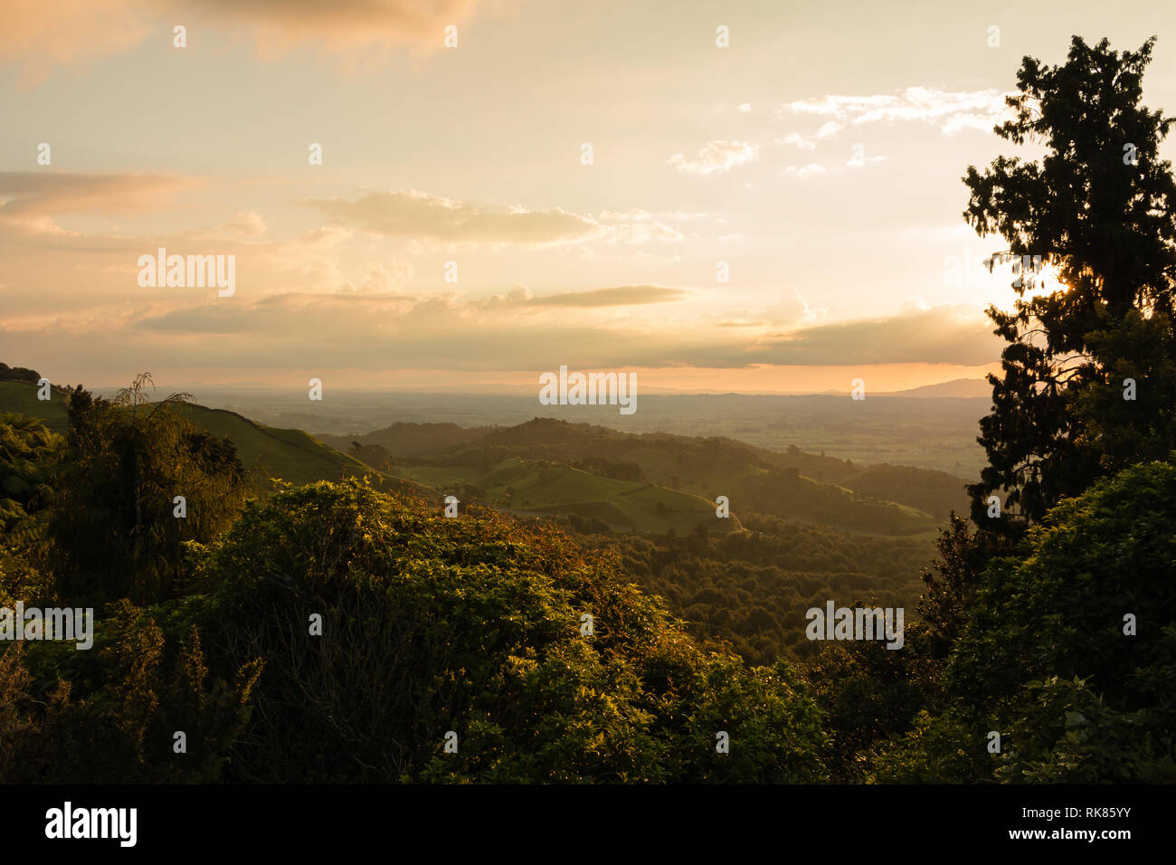 Vista sulle montagne e il paesaggio al tramonto, Isola del nord , Nuova Zelanda Foto Stock