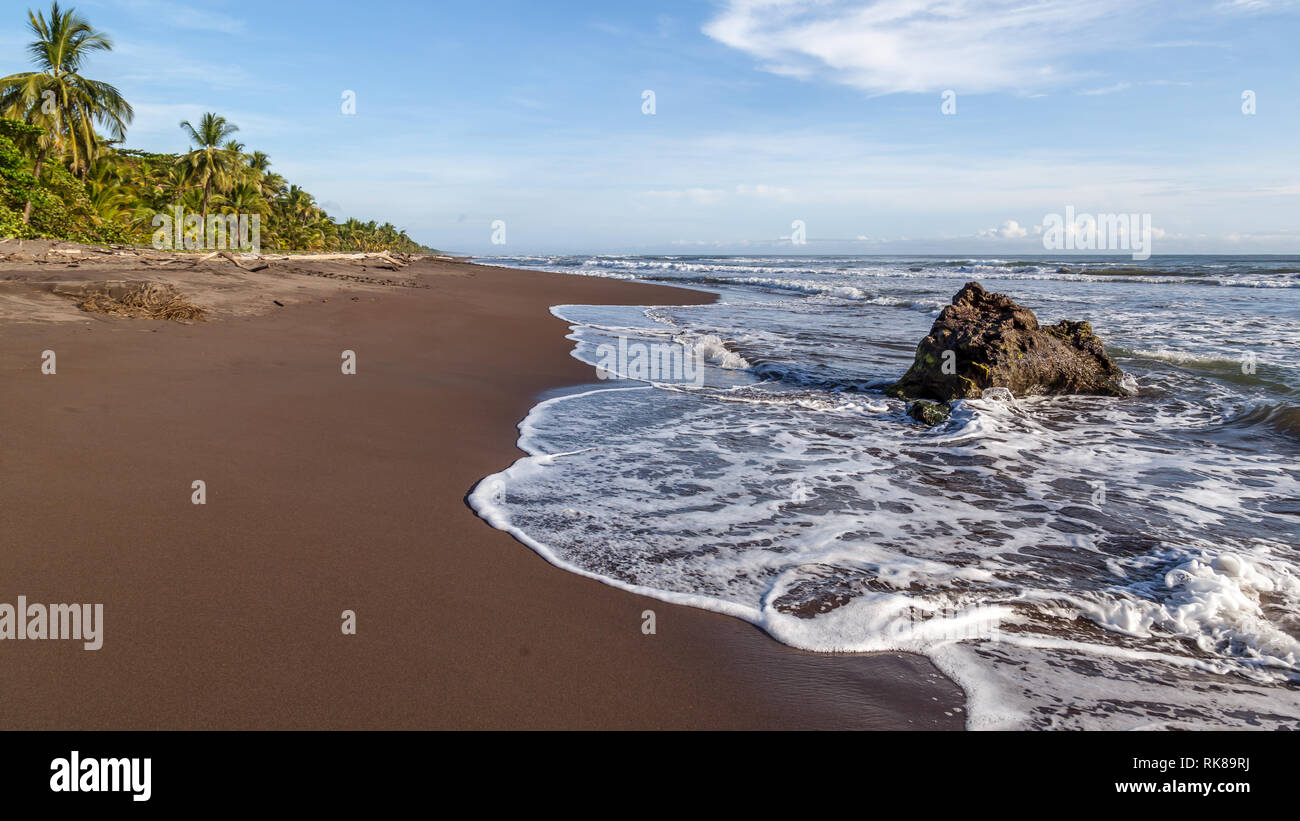 Spiaggia nel Parco Nazionale di Tortuguero in Costa Rica Foto Stock