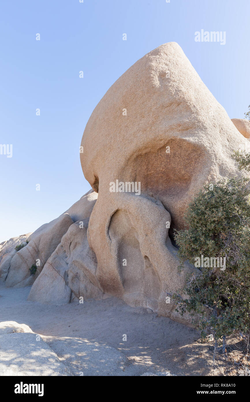 Cranio Rock a Joshua Tree National Park, California, Stati Uniti Foto Stock