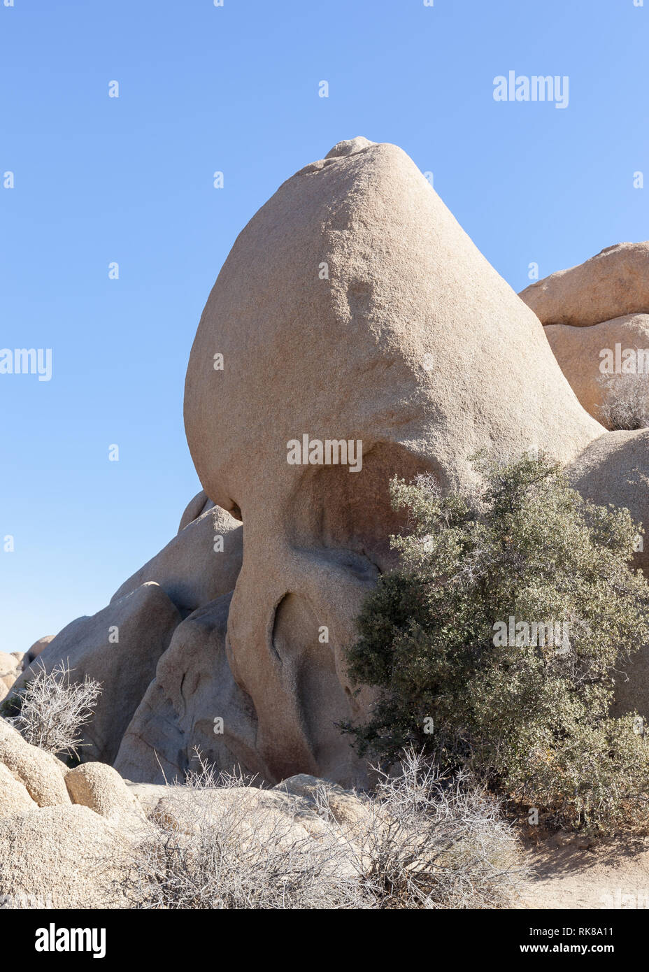 Cranio Rock a Joshua Tree National Park, California, Stati Uniti Foto Stock