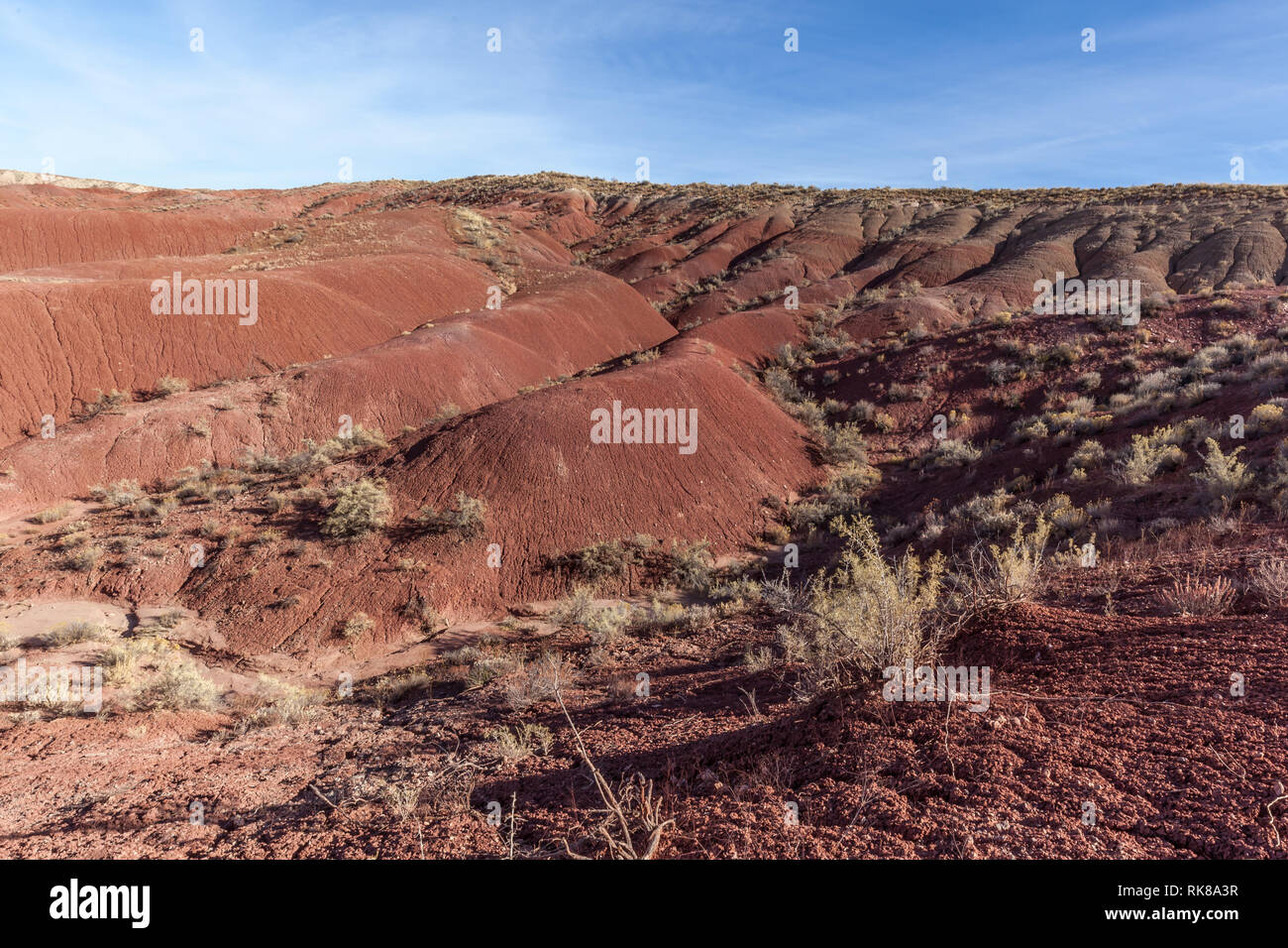 Vista del Parco Nazionale della Foresta Pietrificata, Arizona, Stati Uniti. Parco Nazionale della Foresta pietrificata è noto per i fossili di alberi caduti vissuto 225 milioni di anni Foto Stock