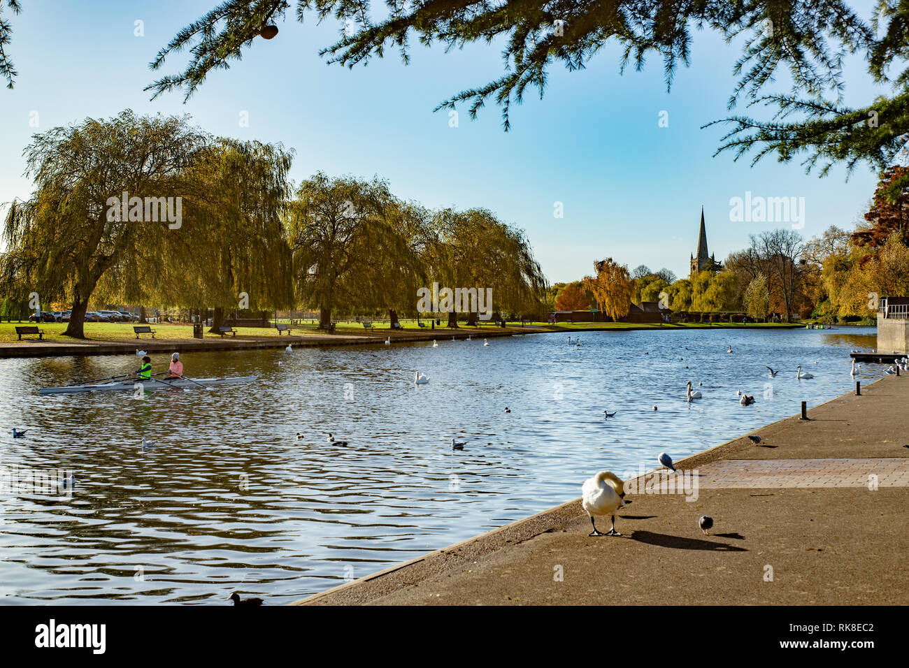 Cartolina di scena del canale in Stratford Upon Avon in Inghilterra. Casa di William Shakespear. Foto Stock