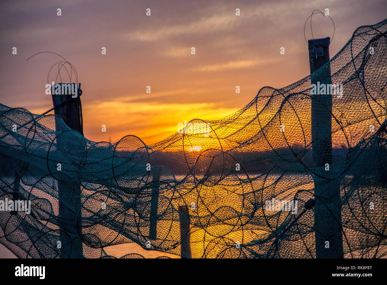 Un pesce trap è una trappola fisso utilizzato per la pesca. Foto Stock