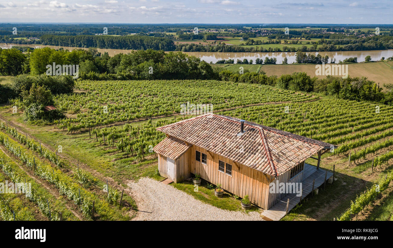 Scenario soleggiato con una piccola capanna in un vigneto a fine estate, Francia Foto Stock