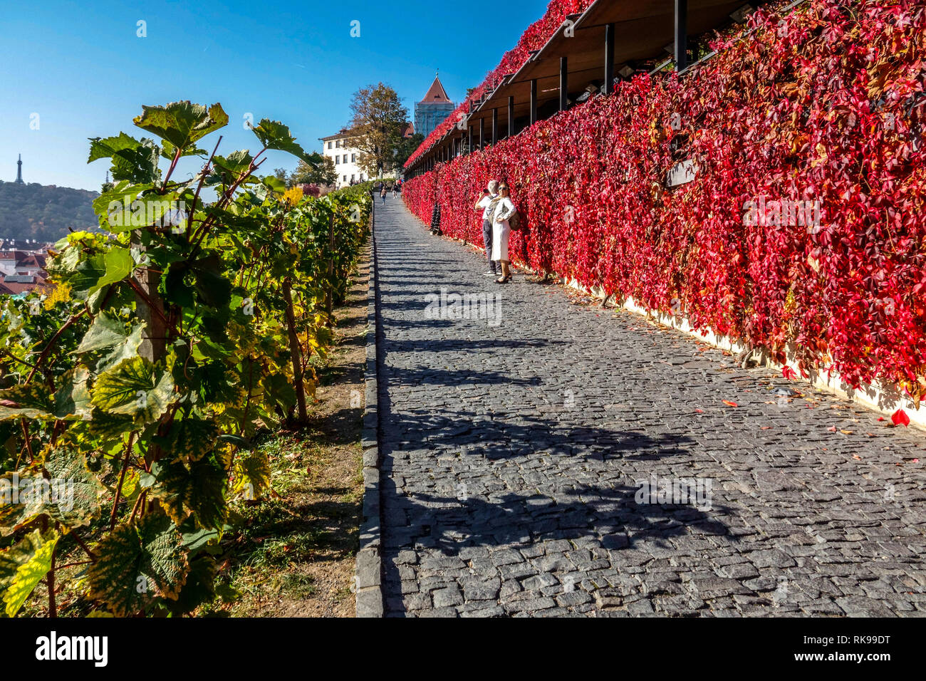 Autunno di Praga, strada per il castello di Praga Hradcany sinistra San Venceslao Vineyard, a destra un wine bar con una vista della città di Praga Repubblica Ceca strada vigneto Europa Foto Stock