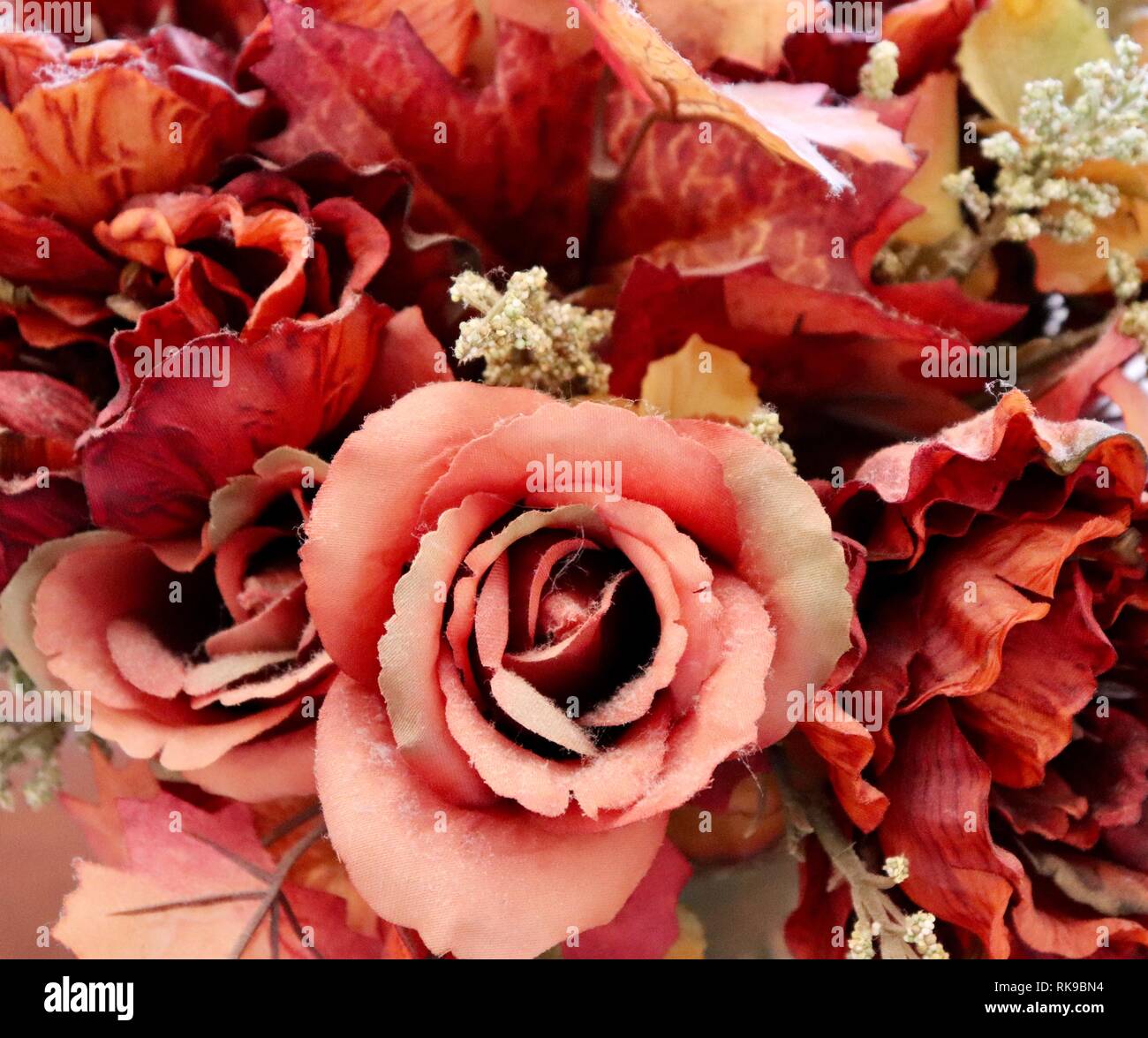 Una cornice di fiori Foto Stock