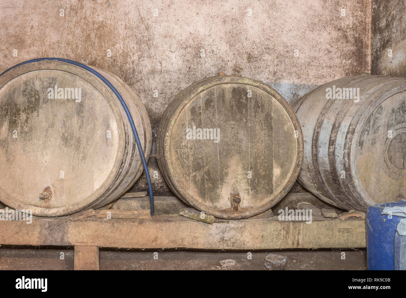 Di barili in un vecchio abbandonato cantina dei vini utilizzati per la conservazione del vino. Foto Stock