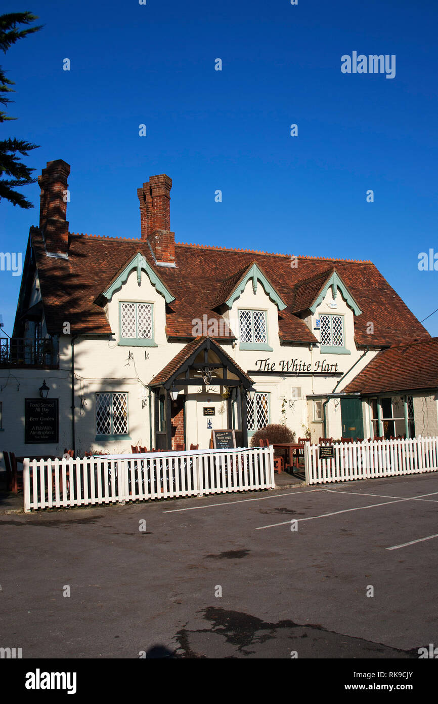 Il White Hart public house Cadnam New Forest National Park Hampshire Inghilterra Foto Stock