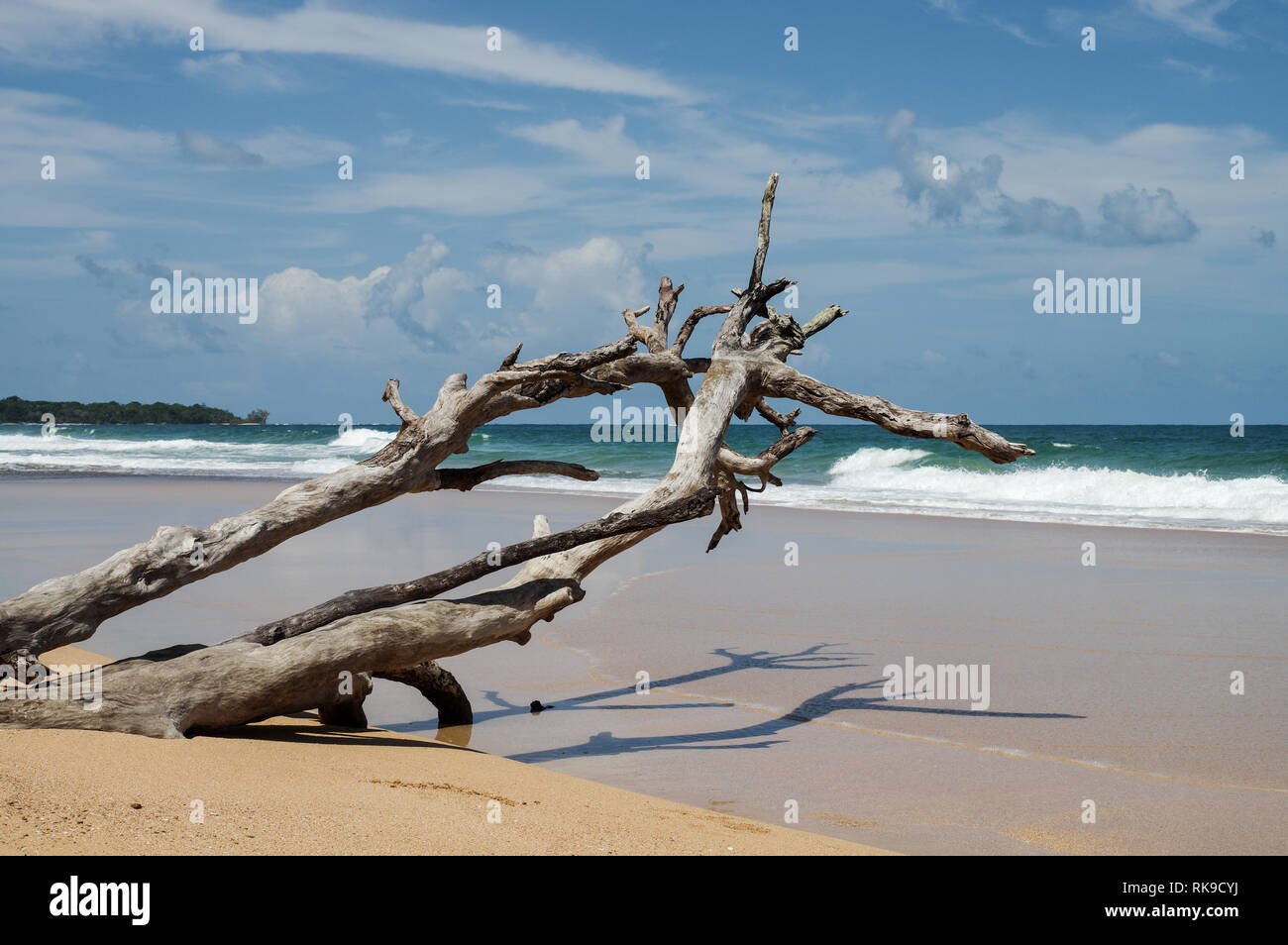 Bellissima Playa Bluff sul Colon Isola di Bocas Del Toro arcipelago, Panama Foto Stock
