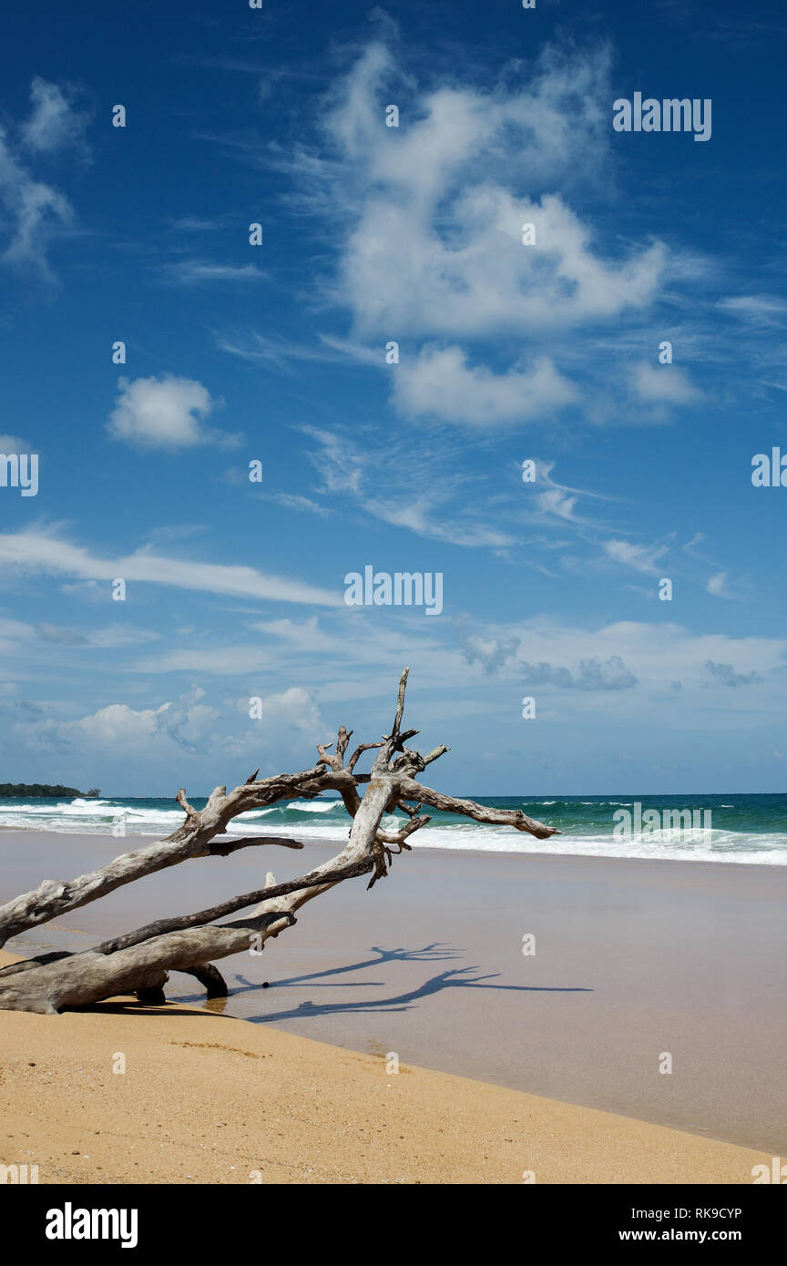 Bellissima Playa Bluff sul Colon Isola di Bocas Del Toro arcipelago, Panama Foto Stock