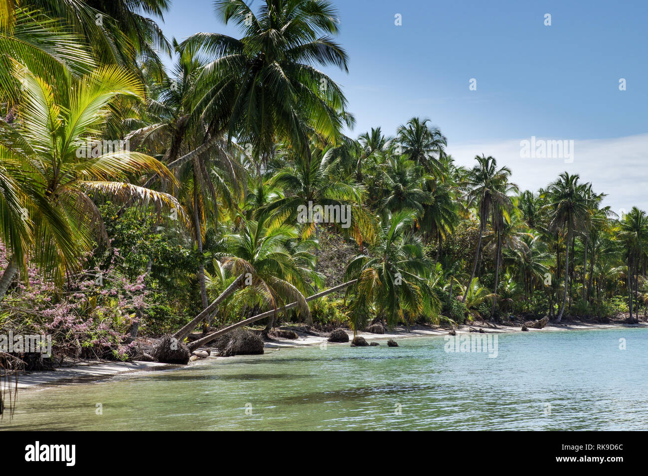 Splendida costa intorno a Playa Boca del Drago su Isla Colon - Bocas Del Toro arcipelago, Panama Foto Stock