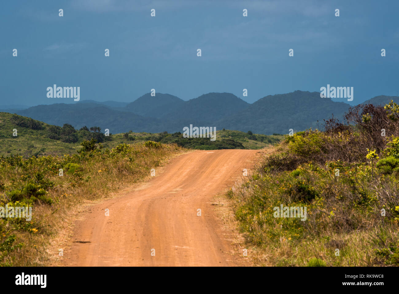 Un rosso di strada sterrata che conduce verso il lontano dalle dune del St Lucia estuary area in Isimangaliso Wetland Park, Sud Africa Foto Stock