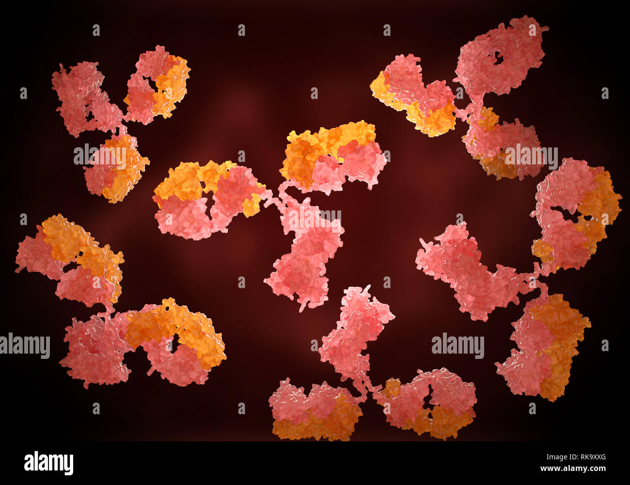 Gli anticorpi umani (immunoglobuline). 3D illustrazione Foto Stock