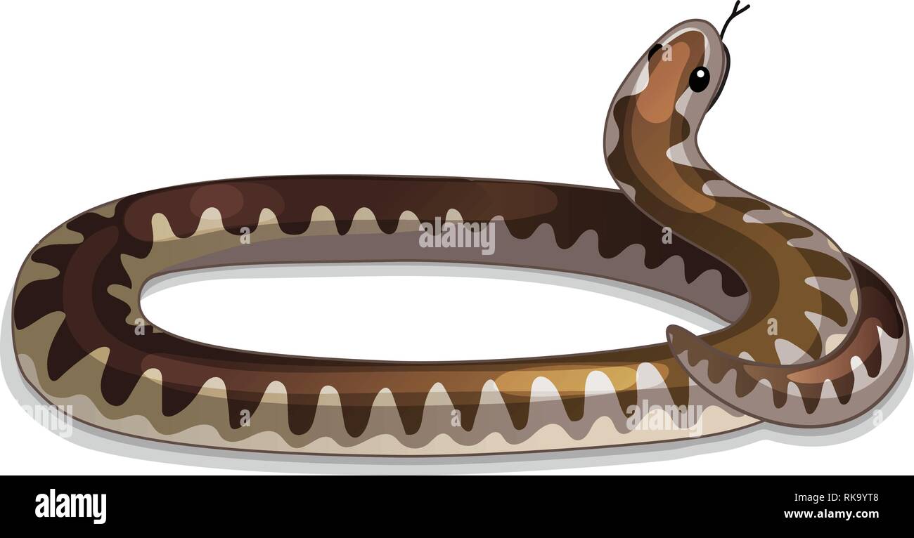Vector cartoon clipart animale: avvolto viper snake Illustrazione Vettoriale