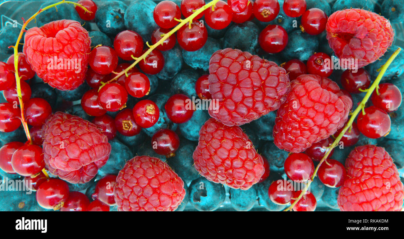Varie le bacche selvatiche natura sfondo modello di frutta Foto Stock