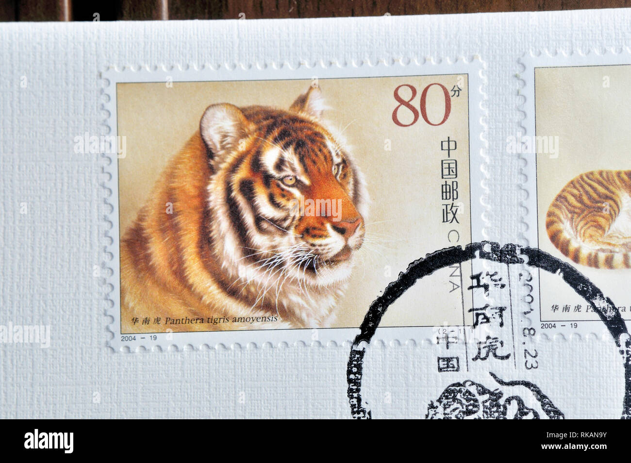 Cina - circa 2004: un timbro stampato in Cina mostra 2004-19 South China Tiger , circa 2004 Foto Stock