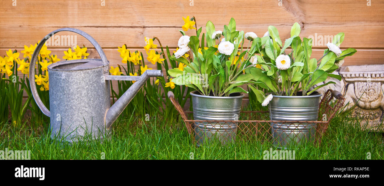 Annaffiatoio e fiori in un giardino Foto Stock