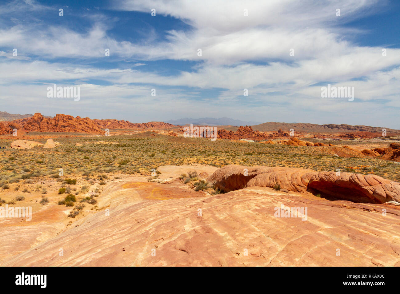 Vista nord dal fuoco area di forma d'onda di il Parco della Valle di Fire State, Nevada, Stati Uniti. Foto Stock