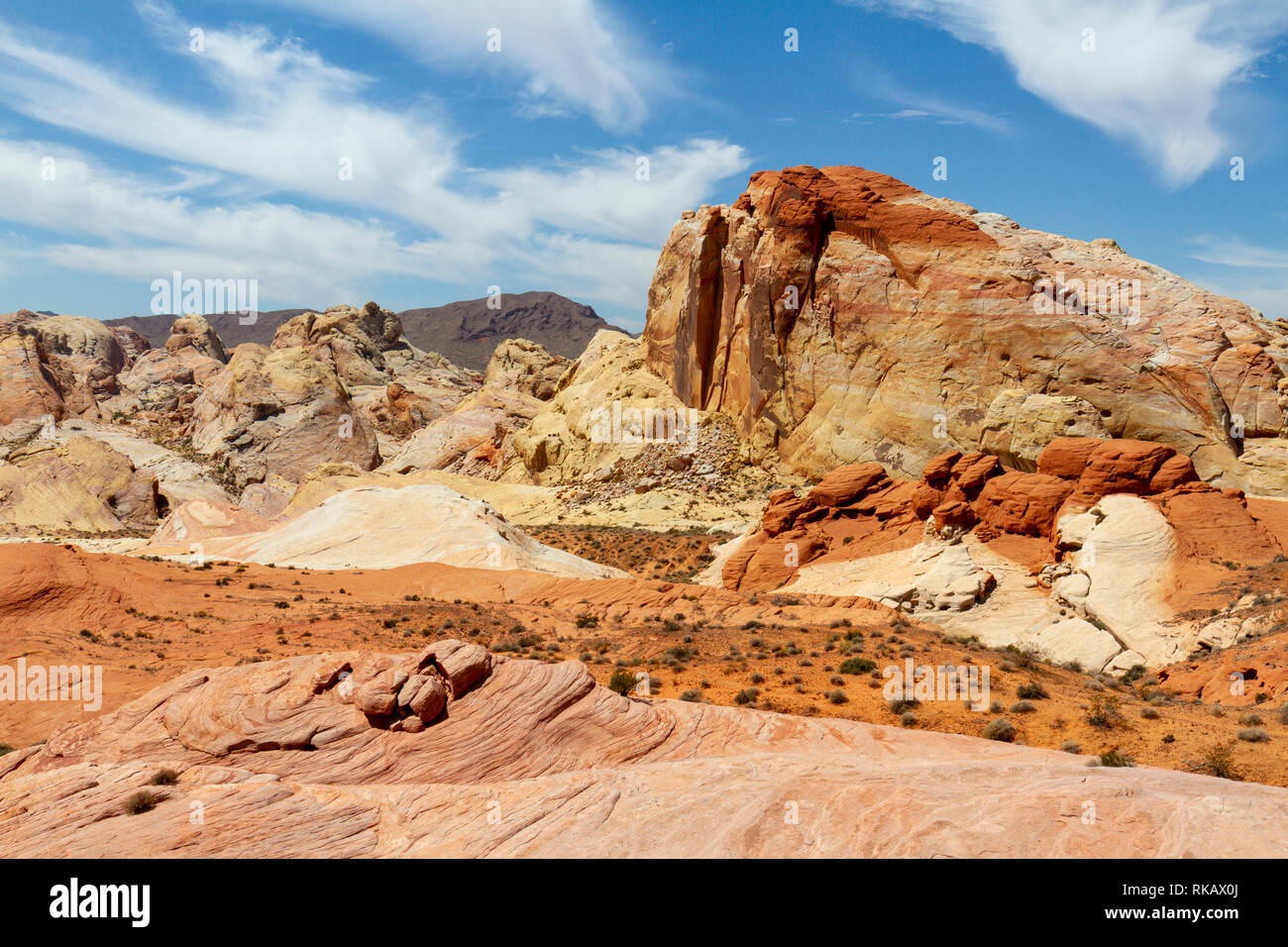 Vista da ovest il fuoco area di forma d'onda di il Parco della Valle di Fire State, Nevada, Stati Uniti. Foto Stock