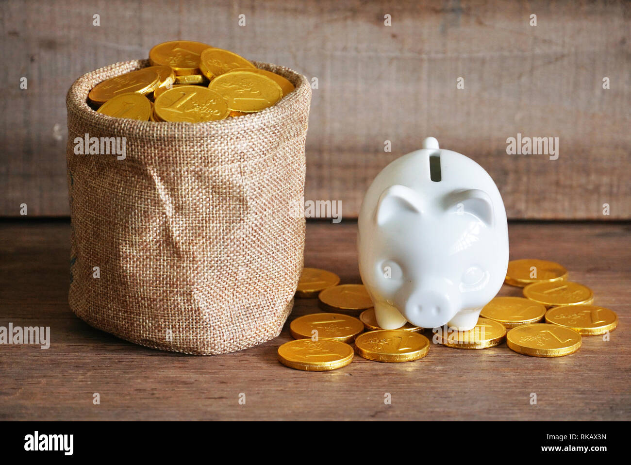 Salvadanaio di bianco sulla moneta in oro nella borsa di tela che portano una moneta in oro Foto Stock