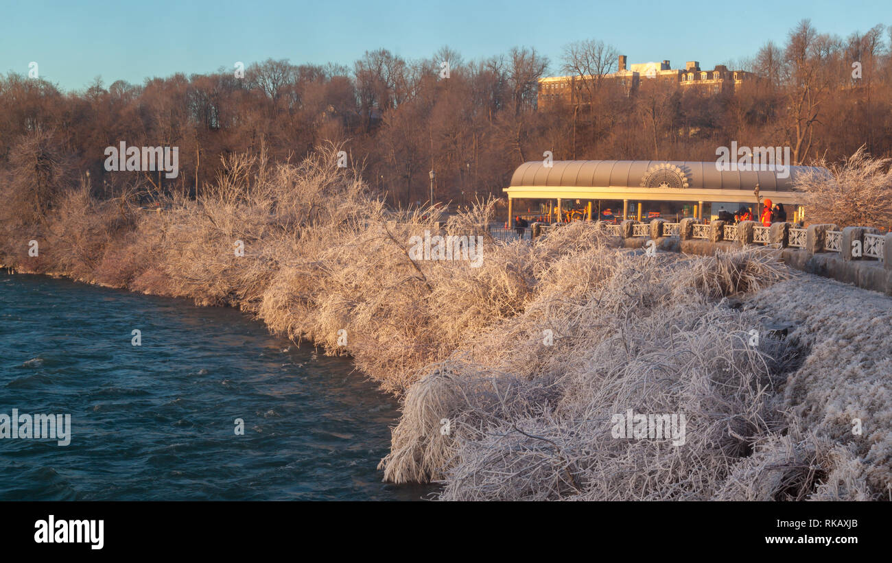 Rami di alberi congelati in cima alle cascate del Niagara, cascate del Niagara, Ontario, Canada Foto Stock