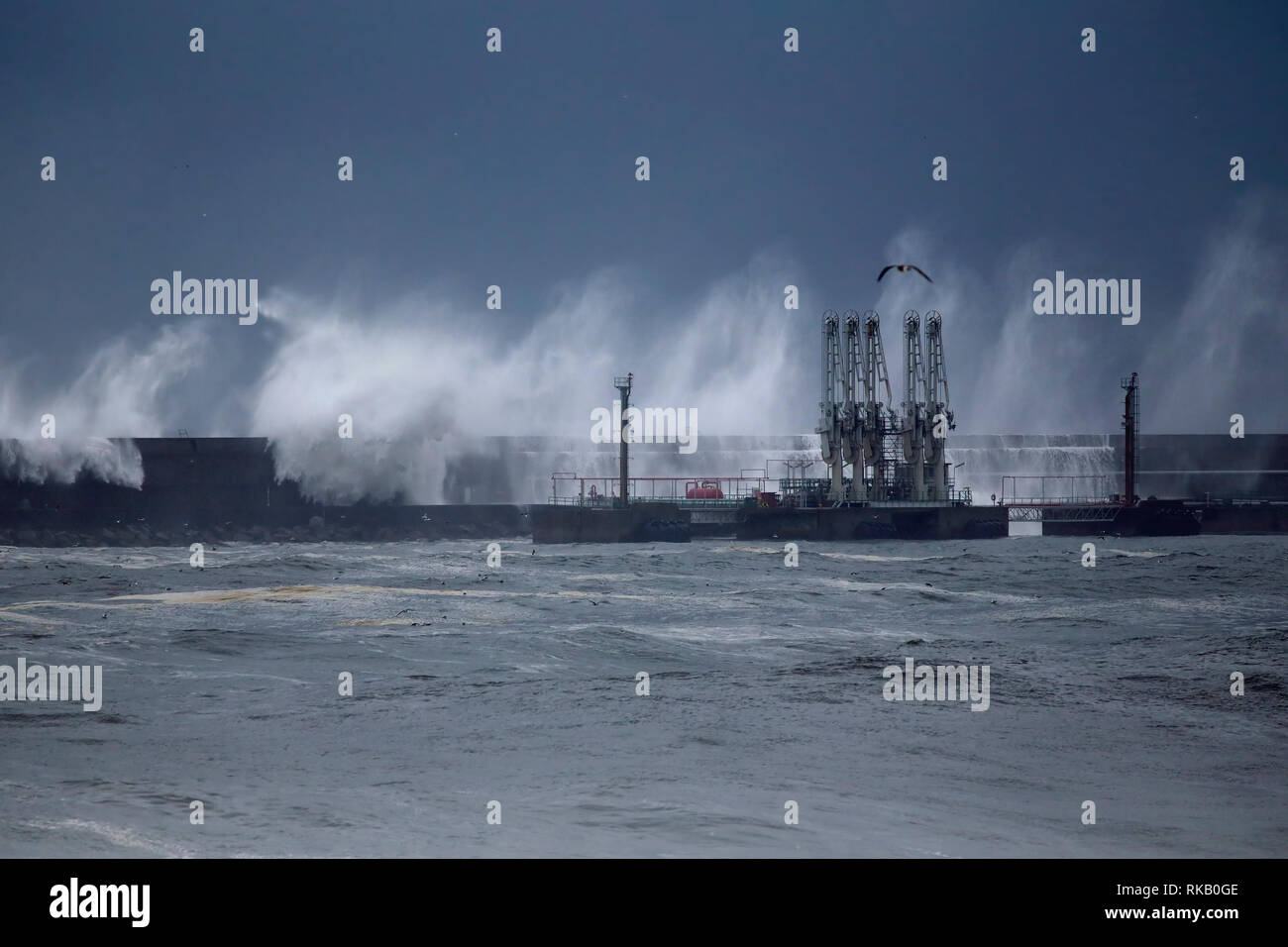 Porto di Leixoes terminale petrolifero sotto la forte tempesta. Foto Stock