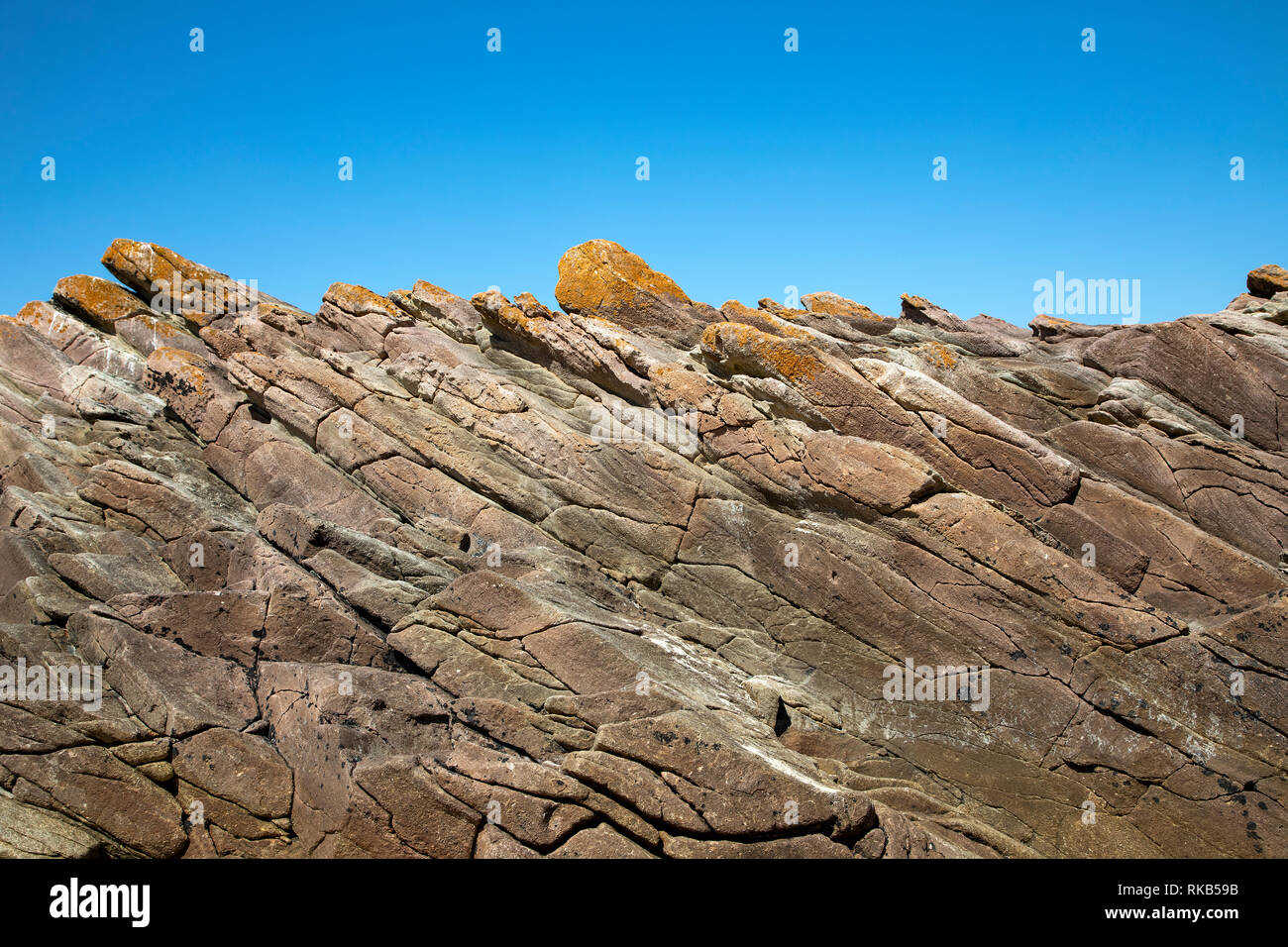 Rocce costiere stratificazione a Corblets Bay su Alderney. Foto Stock