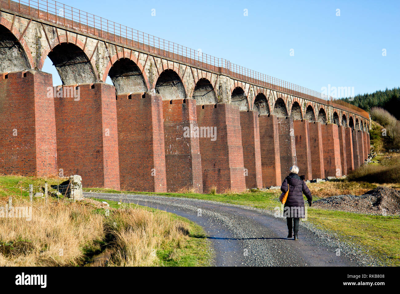 Cairnsmore flotta di riserva naturale nazionale, Dumfries and Galloway, Scozia Foto Stock